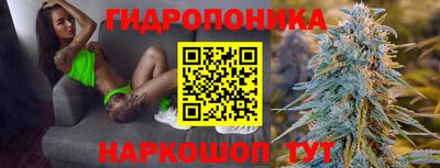 PSILOCYBIN Будённовск
