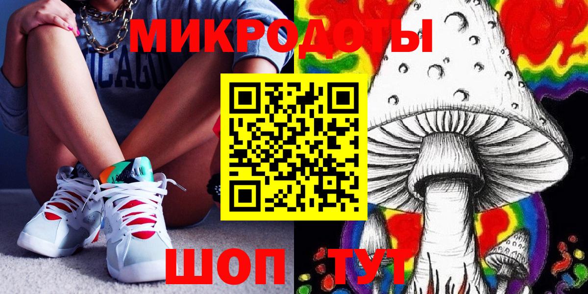 Галлюциногенные грибы Psilocybe  Галлюциногенные грибы прущие грибы  Можга  Вход с VPN 