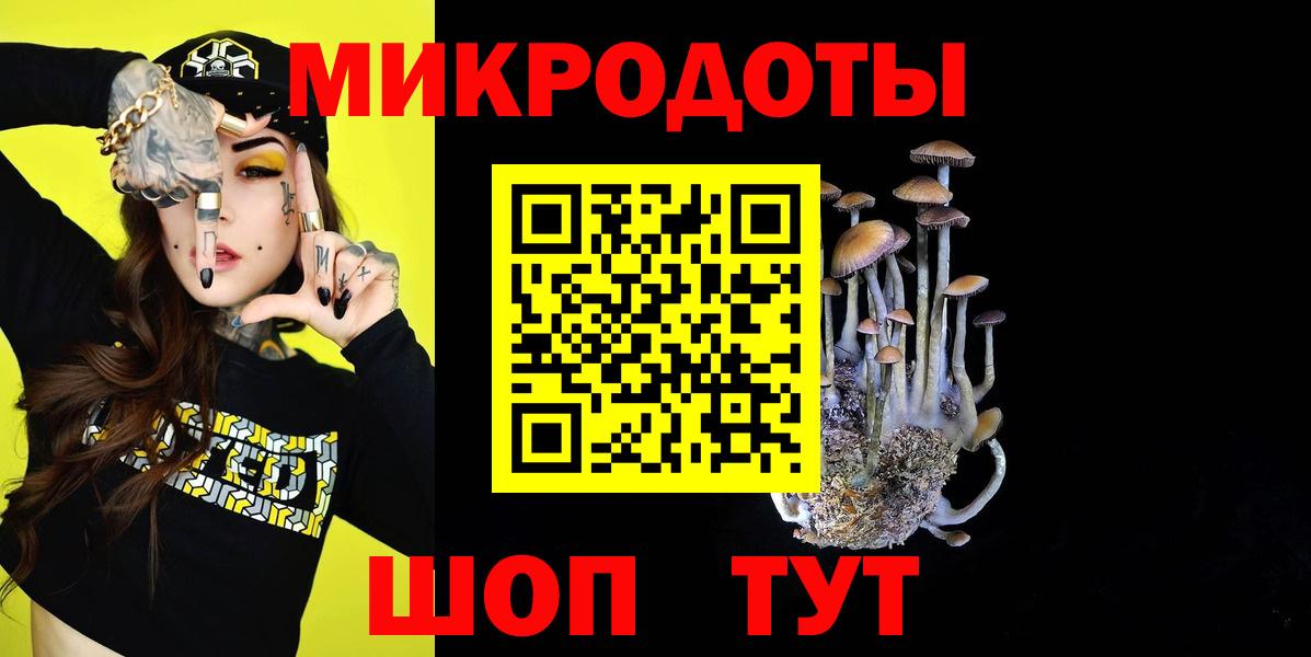 Галлюциногенные грибы мицелий Можга